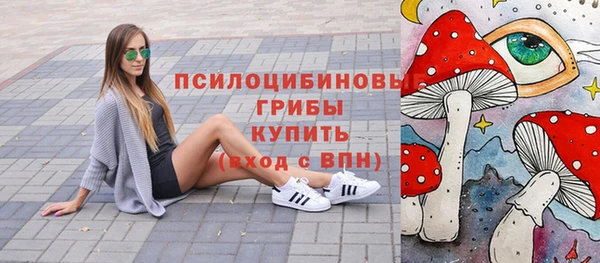 тгк Армянск