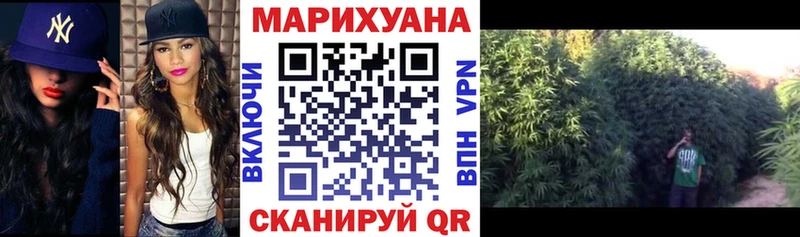 darknet наркотические препараты  продажа наркотиков  Каргополь  Бошки марихуана ГИДРОПОН 